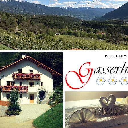 Gasserhof Aicha Natz-Schabs ภายนอก รูปภาพ